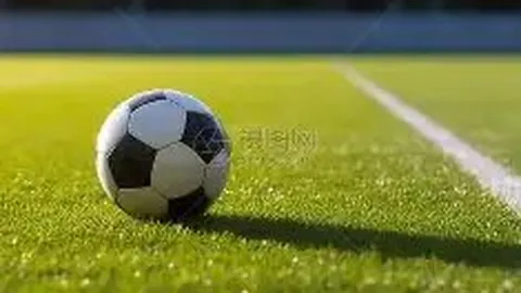 8月英超最佳球员竞争：三笘薰、麦迪逊等六人入围，罗德里领跑热门人选